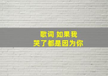 歌词 如果我哭了都是因为你